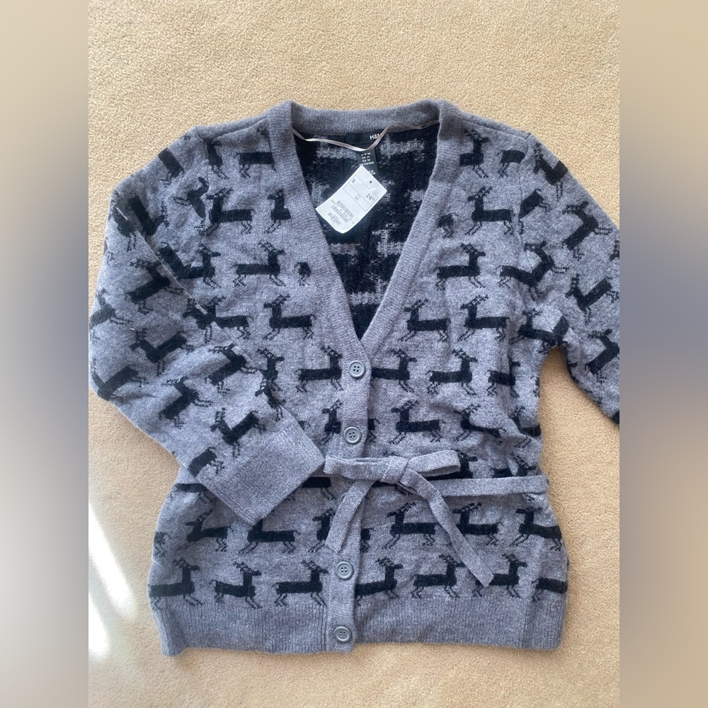 H&M sweater cardigan